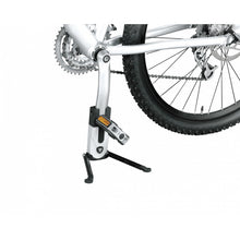 Load image into Gallery viewer, Topeak FlashStand Fat Storage - Black / Silver