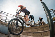 Load image into Gallery viewer, Aeroe Spider Rear Pannier Rack