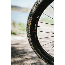 Load image into Gallery viewer, Continental Terra Adventure TLR Gravel Folding Tyre