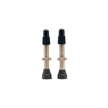 Load image into Gallery viewer, Stans Tubeless Universal Valve Stems - Pair