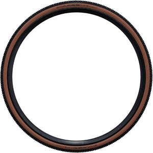 Schwalbe X-One Allround Performance Addix Raceguard TLE Tyre Folding