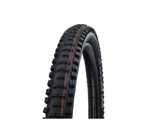 Schwalbe Big Betty Evo Addix Soft SuperGravity TLE Folding