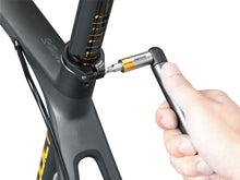 Load image into Gallery viewer, Topeak Nano TorqBar DX - 4/5/6 Nm + 5 Bits